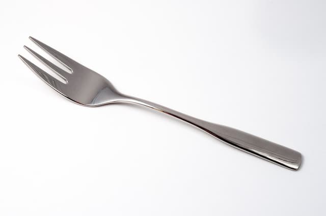 Stainless steel fork