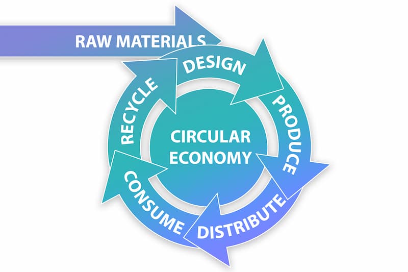 the circular economy model